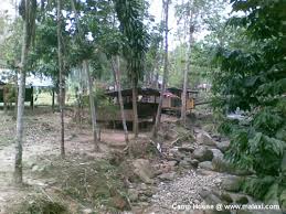 Kompleks pejabat kerajaan 45300 sungai besar selangor no.tel : Pejabat Hutan Daerah Selangor Tengah Surat Mig