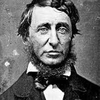 Nemesis: Alcibiades and the Fall of Athens by David Stuttard