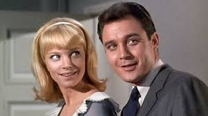 Occasional Wife: Where to Watch and Stream Online