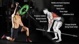 Maybe you would like to learn more about one of these? The 12 Best Landmine Exercises For Building Muscle Mass And Strength Fitness Volt