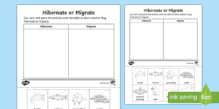 Still others migrate to warmer parts of the world. Migrating Or Hibernating Animals Activity Teacher Made