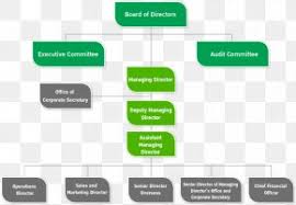 Organizational Chart Bangkok Dec Con Asefa Pcl Public