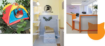The Happy Cat Hotel Pet Boarding And Daycare Magazine