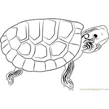 The set includes facts about parachutes, the statue of liberty, and more. Turtle Coloring Page For Kids Free Turtle Printable Coloring Pages Online For Kids Coloringpages101 Com Coloring Pages For Kids