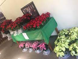 Ordering flowers can be a real shot in the dark. Horst Wholesale Florist Home Facebook