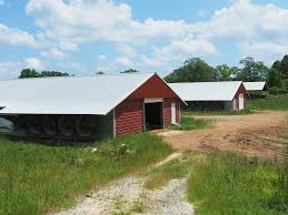 Homes for sale in jasper county ms. Jasper County Ms Real Estate Homes For Sale Trulia