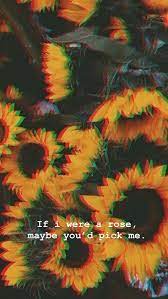 Sierra Burges Is A Loser Glitch Wallpaper Hintergrund Iphone Gelbe Tapete