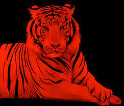 Syair Fajar Pakong 888 Terbaru Fajar Pakong 888 Sgp48 Sgp49 Hkpools