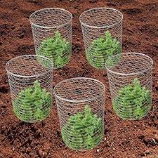 Diy natural is about rediscovering the traditional value of doing things yourself, doing them naturally, and enjoying the benefits. How To Keep Rabbits Out Of Garden 5 Best Rabbit Repellents