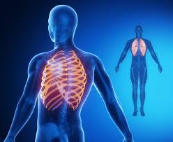 Upon palpitating, i can feel my heart beat, which feels like it's sort of squirshing, rather than a distinct heart beat. How Chiropractic Can Help Put A Rib Back Into Place Surrey Family Chiropractic Massage