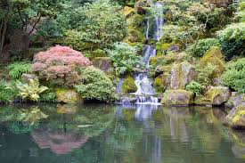 A ton of people want to know which one is our oldest. Japanese Garden Koi Pond With Waterfall Stock Image Image Of Waterfall Reflection 26333879