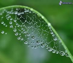 Image result for fotos de gotas de agua