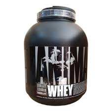 universal nutrition whey