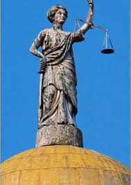 Image result for Justicia nuttii