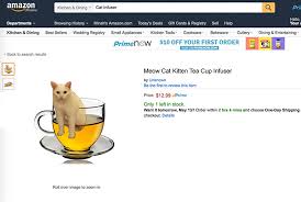 You can use photos from your library or take new ones, then add cat pictures from catpaint's extensive library of cats, cat heads, cat parts (like ears and paws), fine art cats and more — along with explosions and text. Awkward Half Cat Inspires Hilarious Photoshop Battle 75 Pics Bored Panda