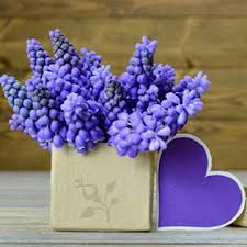 Ароматизатор воздуха fiori di iris & ginestra 500 мл. Bulbose Invernali Bulbishop It