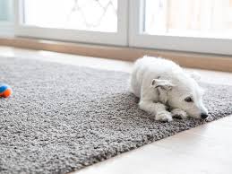 Homeadvisor's best basement flooring guide examines the best carpet and tiles, concrete sealer, and vinyl plank floor covering for your basement. Affordable Flooring Options For Basements