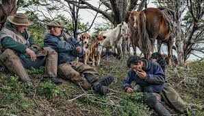 Historia del día del animal. Dia Del Animal La Historia De Albarracin Pionero En La Lucha Por Los Derechos En Argentina Infocampo