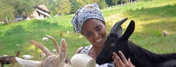 Audio ao vivo carnaval conceição da barra. Uccisa Agitu Ideo Salto Bz