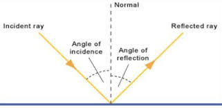 The Figure Shows The Cut Out Of The Letter L Placed In Front Of A Plane  Mirror Pq. Draw The Image Of This Cut Out. Name The Phenomenon.