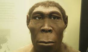 Letztendlich bestimmt nur der geldbetrag auf dem konto eines bürgers seine lebensbedingungen, die qualität der ausbildung und die medizinische versorgung. Wann Lebte Der Erste Mensch