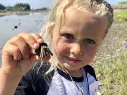 Nature Day Camp: “Absolutely 100% amazing” Little Ponds: Agriculture,  industry, literature, nature