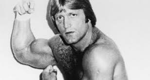 Equipped with one of the deadliest piledrivers in the industry, paul orndorff is a talent that. Fouzcv0nuc3jtm
