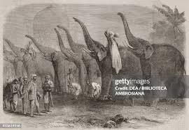 843 Elephant Magazine Stock Photos, High-Res Pictures, and Images - Getty Images
