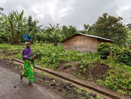 Congo may refer to either of two countries that border the congo river in central africa: Democratic Republic Of Congo Mercanta The Coffee Hunters