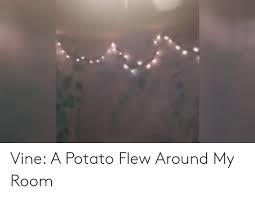 A potato flew around my room meme. Vine A Potato Flew Around My Room Vine Meme On Me Me