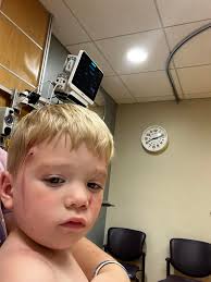 What is the most humane way to cull roosters?