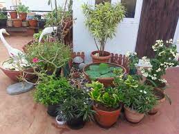Roof top garden on our house in india. Terrace Garden Ideas Terrace Garden Ideas Terrace Garden Luxury Garden