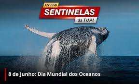 Em 2021, o tema é the ocean: Ldui0siidglawm