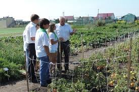 7 000сотрудников годовой валовый сбор с/х продукции — 2 050 000 тн. Materialy S Tegom Agrobiznes Ia Onlajn Tambov Ru