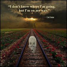 Positive Motivational Inspirational Quotes For Life But I M On My Way