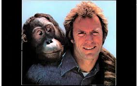 FBI 5 -State Raid Slashes At Piracy