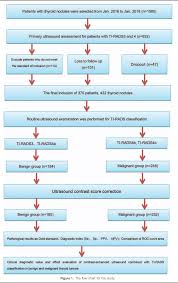 Clinical Diagnostic Value Of Contrast Enhanced Ultrasound