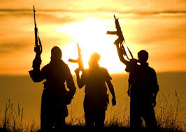 Image result for terrorism