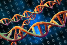 Innovative Technologies Are Arriving At A Staggering Pace Here S A Look At Some Of The Most Pr Computer Science Computer Science Programming Software Engineer