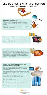 Bed bugs are very tiny brown insects who feed on the blood of humans and animals. 38 Bed Bug Infographic Ideas Bed Bugs Bugs Bed Bug Bites