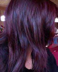Pin By Megan Rodriguez On Hair Semi Permanent Hair Dye Permanent Purple Hair Dye Permanent Hair Dye