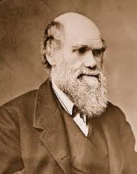 92. Homer Babbidge Library & Dodd Center