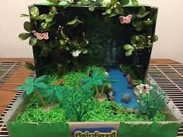 Biome In A Box Tropical Rainforest Rainforest In A Shoebox Rainforest Habitat Habitats Projects Rainforest Project