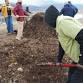 Compost Volunteer Day — Food to Power