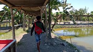 Kolam Pancing Alami Merr Kalijudan Youtube