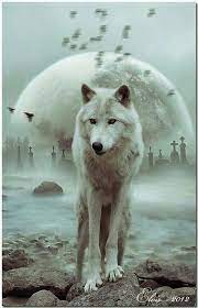 Wolf Totem Loyalty Cunning Generosity Intelligence Friendliness Compassionate Communication Totem Wolf Symbols Belong Animals Wolf Pictures Wolf Spirit Animal