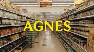 Lina Esco on X: helping produce one of my best friends short film! very  close to my heart! help us get to our goal and be a part of our film ❤️LINK