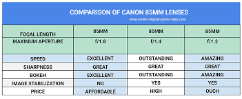 Which Canon 85mm Lens Is The Best Lens For You The Lens