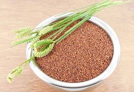 Organic Finger Millet (Ragi)