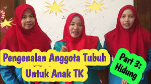 Badanku terasa lemas saat aroma maskulinnya menusuk hidung dan ragaku. Pengenalan Anggota Tubuh Hidung Untuk Anak Tk Paud Youtube